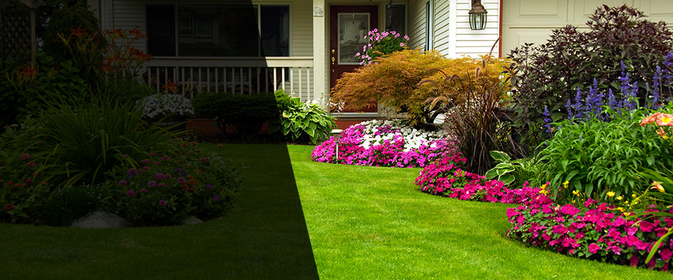 Savanna Landscapers
