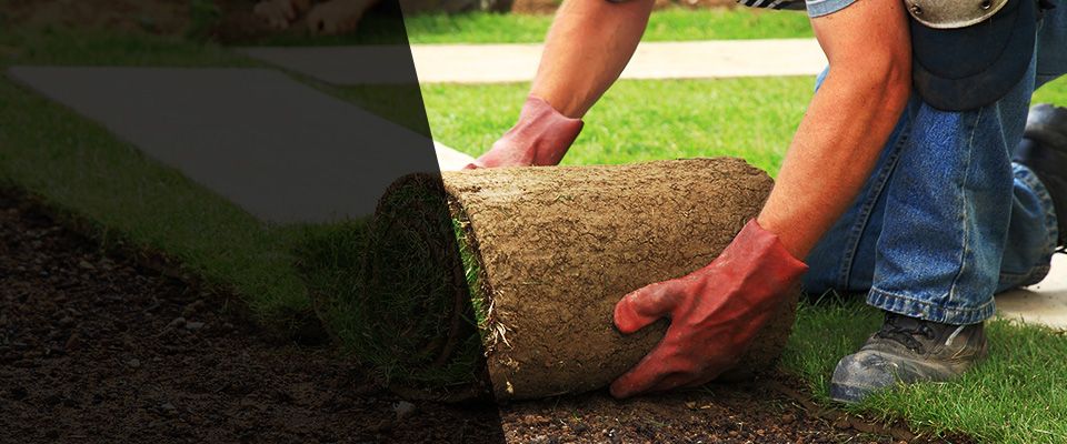 Savanna Landscapers